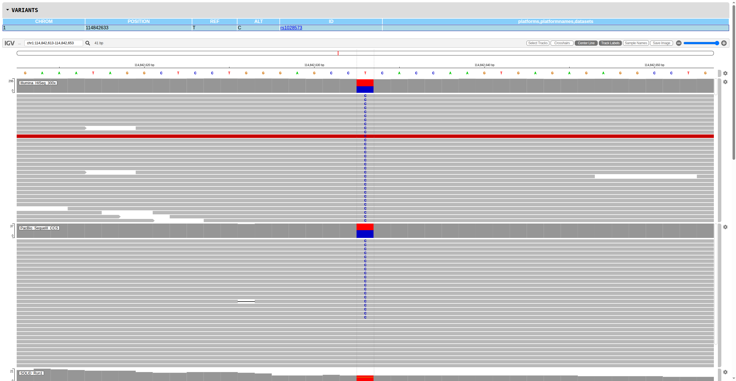 IGV Report Example